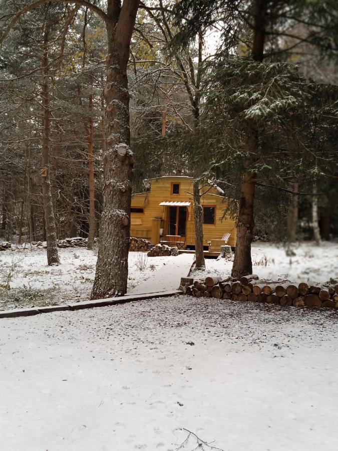 Chalet Cricri Domaine De La Mamounette Champclause 外观 照片