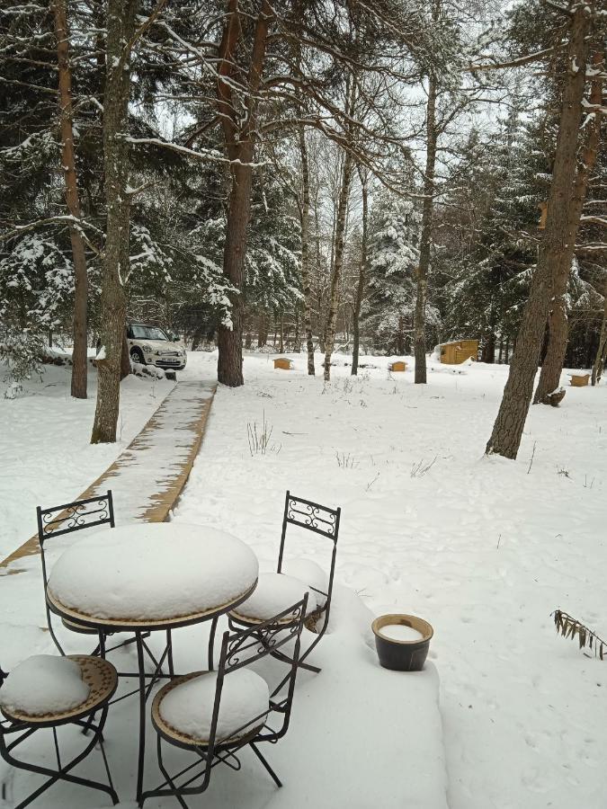 Chalet Cricri Domaine De La Mamounette Champclause 外观 照片