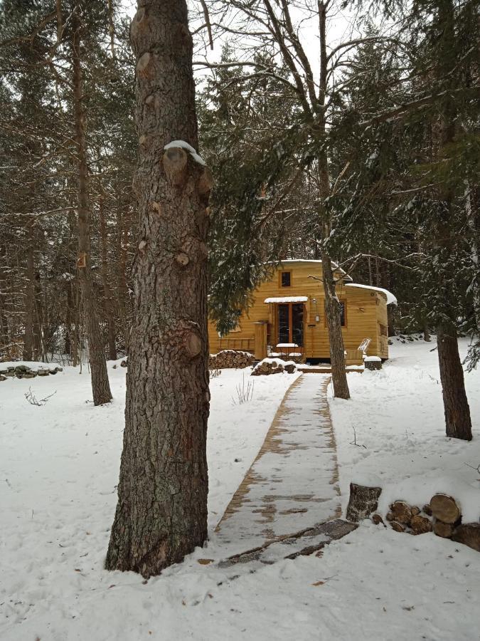 Chalet Cricri Domaine De La Mamounette Champclause 外观 照片