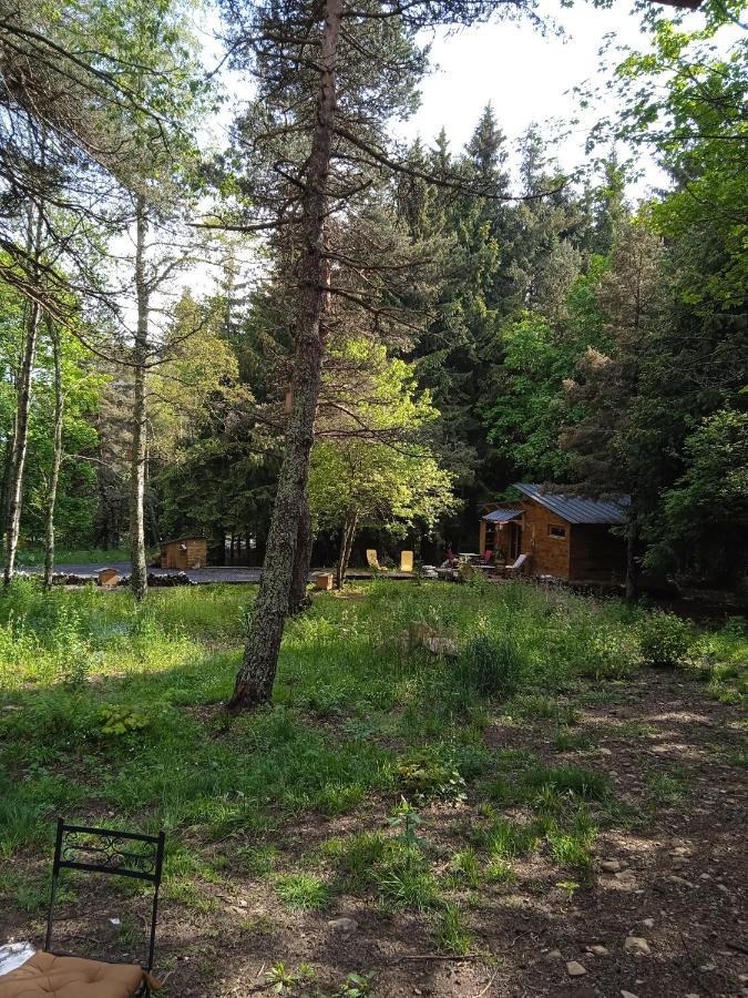 Chalet Cricri Domaine De La Mamounette Champclause 外观 照片