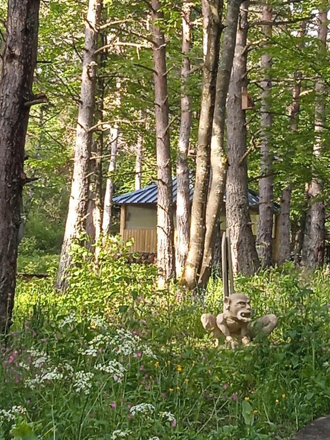Chalet Cricri Domaine De La Mamounette Champclause 外观 照片
