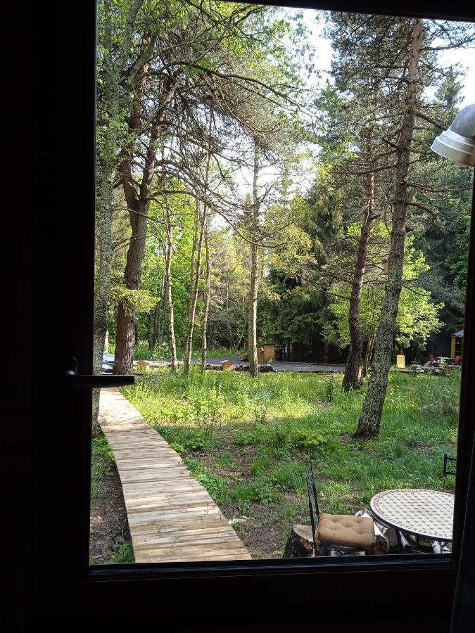 Chalet Cricri Domaine De La Mamounette Champclause 外观 照片