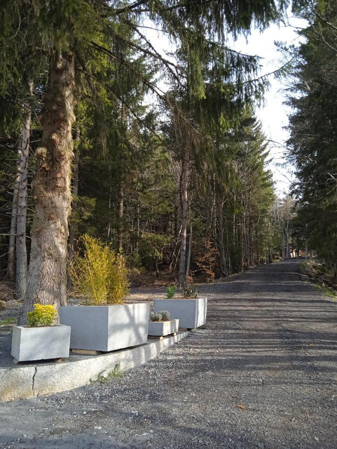 Chalet Cricri Domaine De La Mamounette Champclause 外观 照片