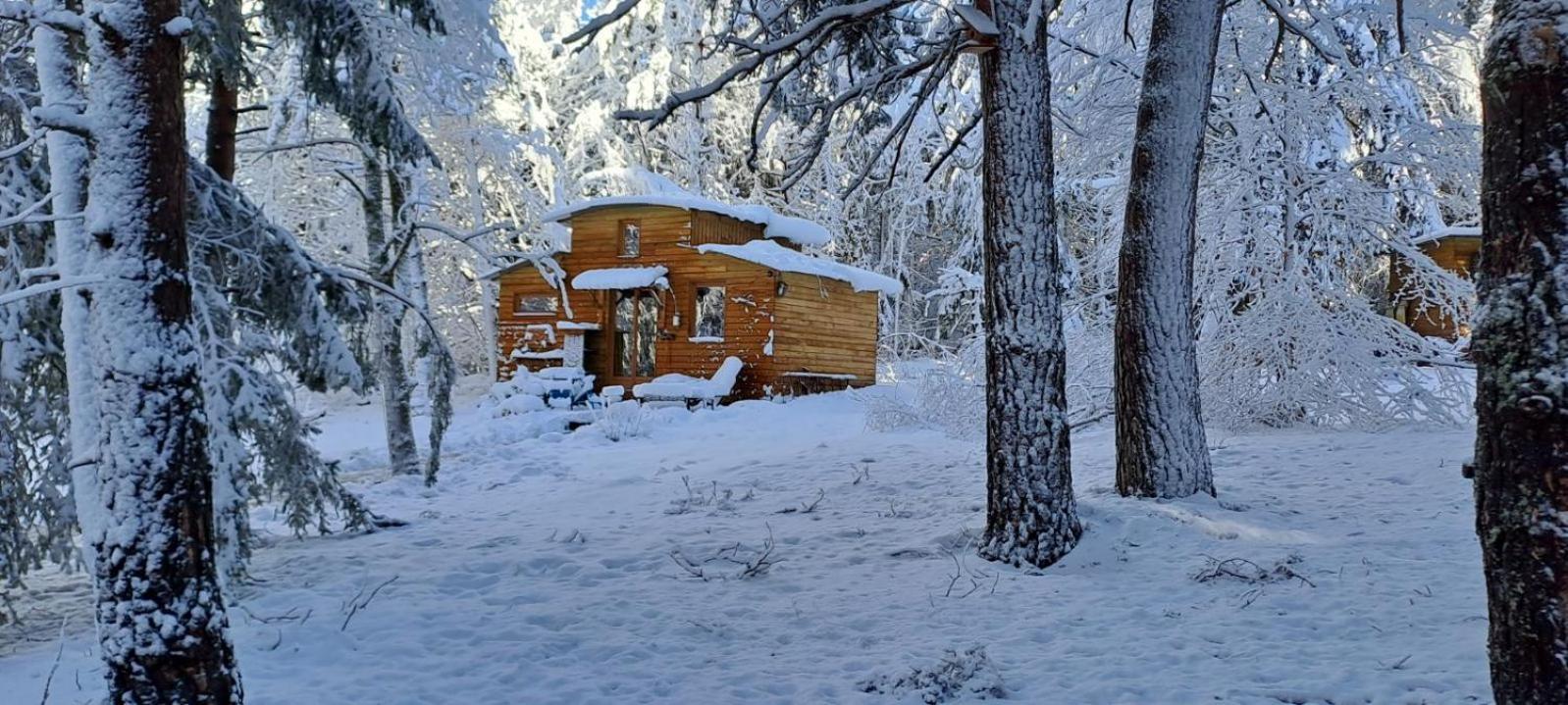Chalet Cricri Domaine De La Mamounette Champclause 外观 照片