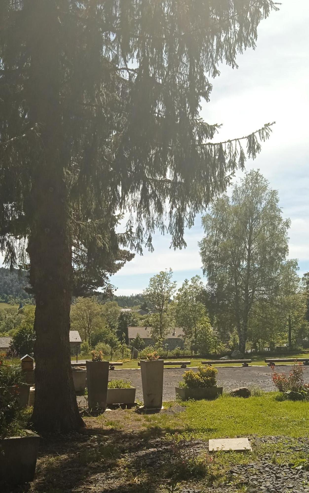 Chalet Cricri Domaine De La Mamounette Champclause 外观 照片
